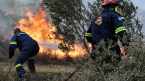 Υψηλός κίνδυνος πυρκαγιάς τη Μ. Παρασκευή–Ποιες περιφέρειες βρίσκονται στο «κόκκινο»