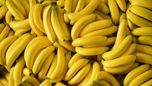 Κλιματική αλλαγή: Θα ακριβύνουν οι μπανάνες λόγω ανόδου της θερμοκρασίας;